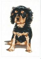 Adorable Pups Black and Tan Greetings Card