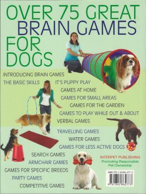 Brain Games Book