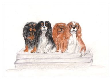 All Four Blank Greetings Card