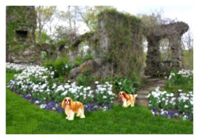 Blenheims enjoying the Garden Blank Greetings Card