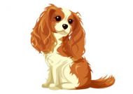 Cute Blenheim Blank Greetings Card