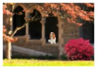 Blenheim Palace Blank Greetings Card