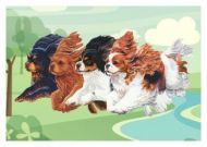 Flying Across the Lake Blank Greetings Card