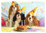 Party for Three Birthday Card