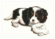 Tri  Attitude Blank Greetings Card