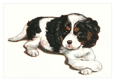 Tri  Attitude Blank Greetings Card