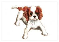 Blenheim Attitude Blank Greetings Card