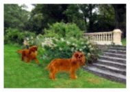 Cheeky Rubys' Blank Greetings Card