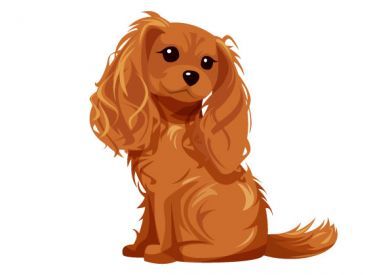 Sweet Ruby Blank Greetings Card