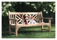 Tri & Blenheim Seated Blank Greetings Card