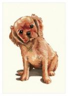 Puppy Ruby Black Greetings Card