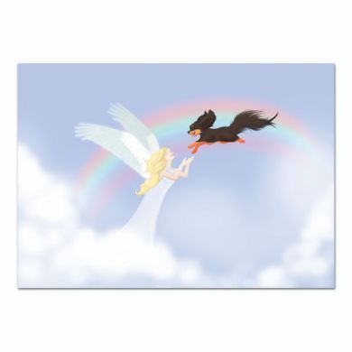 Falling into the Arms of an Angel