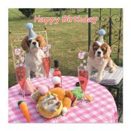 Party for Two Cavalier Birthday Card