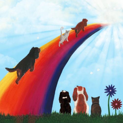 Rainbow Bridge Condolence Card