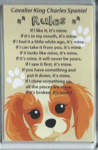 'Cavalier Rules' Fridge Magnet