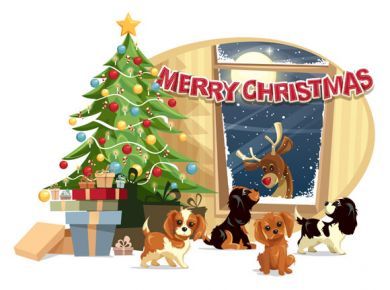 Christmas Reindeer  Single A5 Card
