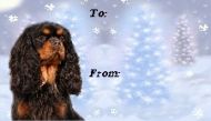 Cavalier Christmas Gift Labels - All Four Coat Colours