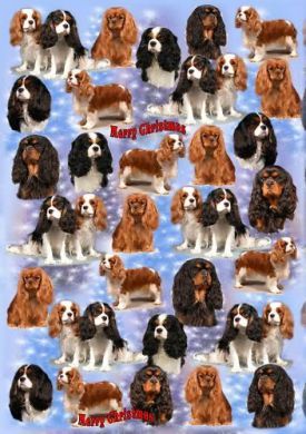 A Cavalier Christmas Gift Wrap