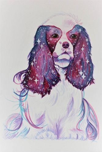 Galaxy Print by Jolly Pet Portraits