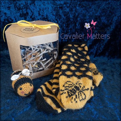 Socks Gift Set