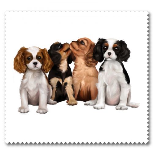 Lens Cloth Puppy Suprise