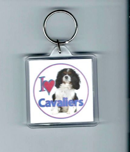 I love Cavaliers Keyrings