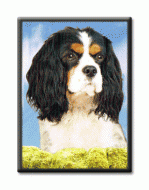 3D Cavalier Fridge Magnet