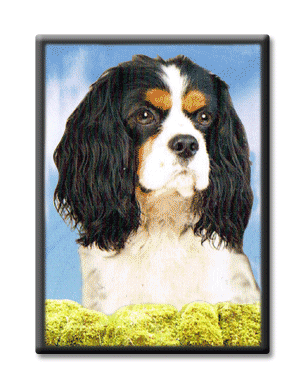 3D Cavalier Fridge Magnet