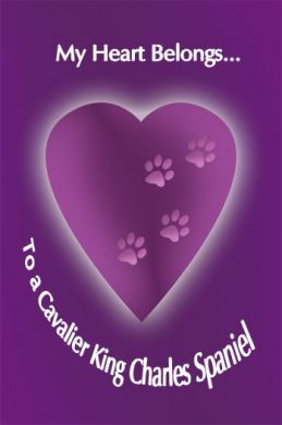 My Heart Belongs Fridge Magnet