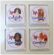I Love Cavaliers Fridge Magnets
