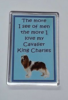 Cavalier over Men Magnet