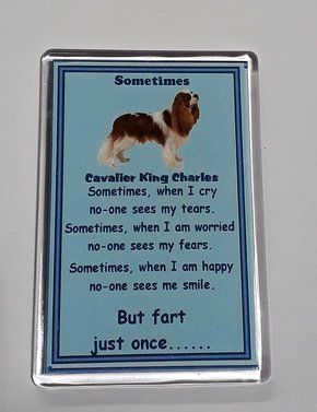 Sometimes.. Fridge Magnet