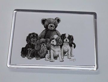 Hands off our Teddy Magnet