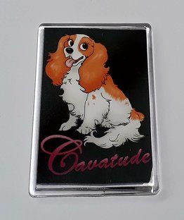 Cavatude Fridge Magnets