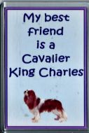 'My Best Friend..' Cavalier Fridge Magnet