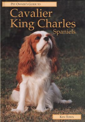 Pet Owner's Guide to the Cavalier King Charles Spaniels - Ken Town