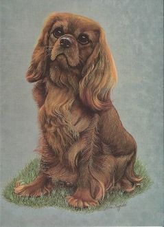 Ruby Painting Style Greetings Card