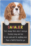 3D Cavalier Home Hang up Signs