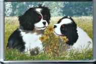 Gentle Tricolour Pups Watercolour Fridge Magnet