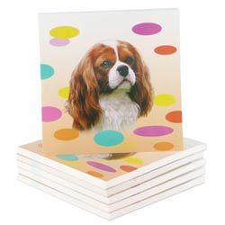 Dotty Cavaliers Mini Magnetic Pads