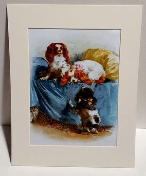 Can I come up? Mounted Print