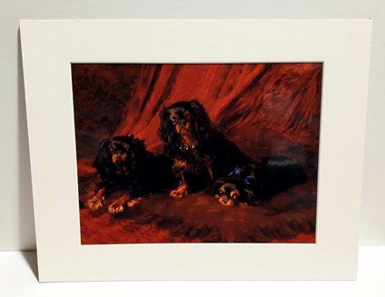 Sitting Pretty Mounted Print