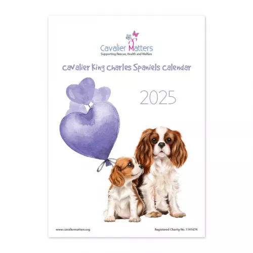 Cavalier Calendar 2025