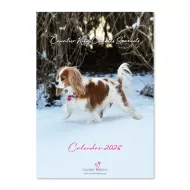 Cavaliers Calendar 2026