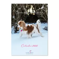 Cavaliers Calendar 2026