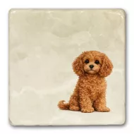 Just Our Cavapoo Marble Coaster