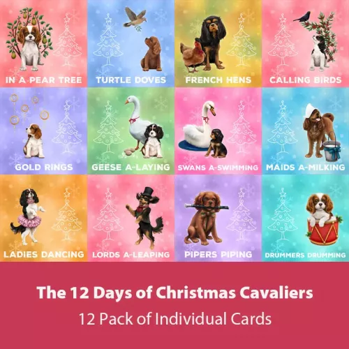 12 Days of Christmas Cavaliers
