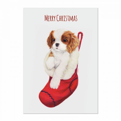 A Stocking Surprise - Blenheim