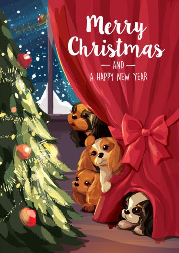 Taking a Peek Christmas Card 5-Pack