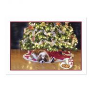 Cavalier Waiting for Santa